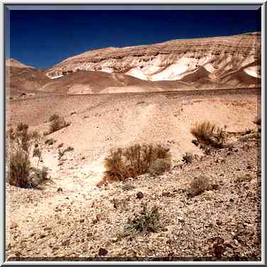 Valley of Nahal Bokek River in Judean Desert, 3 ...[4 words]... Bokek. The Middle East, April 17, 2001