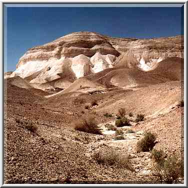 Shallow parts of Nahal Bokek River in Judean ...[9 words]... Bokek. The Middle East, April 17, 2001