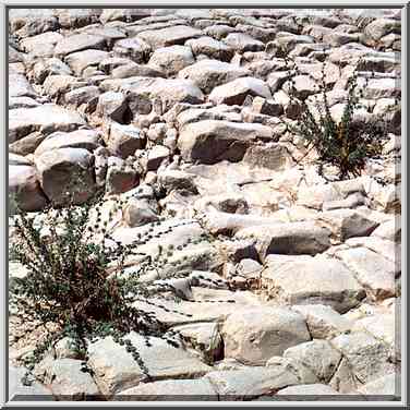 Riverbed of Nahal Bokek in Judean Desert, on a ...[6 words]... Bokek. The Middle East, April 17, 2001