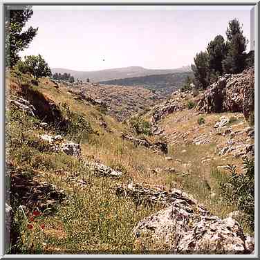 Nahal Sekhvee River north from Safed, landscape ...[6 words]... The Middle East, April 19, 2001