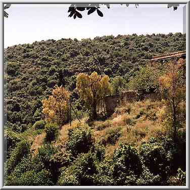 Mills (?) at Nahal Ammud River near Safed. The Middle East, April 19, 2001