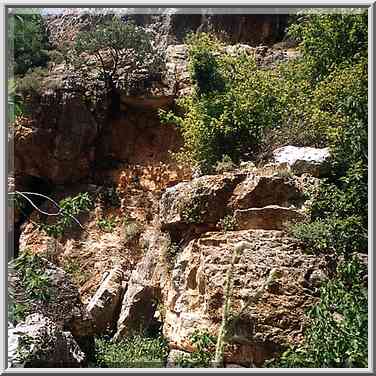 Ancient trail along Nahal Sekhvee River near Safed. The Middle East, April 19, 2001