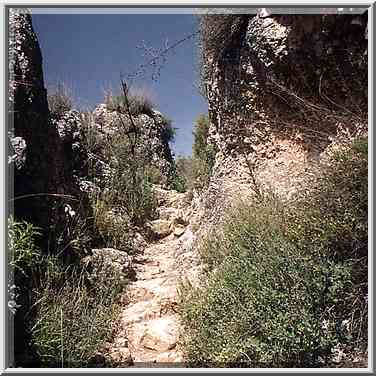 Ancient donkey path from Safed to the mills of ...[5 words]... River. The Middle East, April 19, 2001