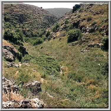 Canyon of Nahal Sekhvee River north from Safed. The Middle East, April 19, 2001