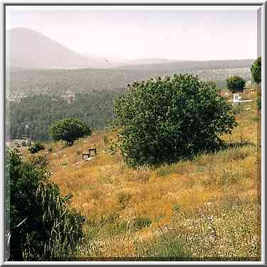 Safeds cemetery below the Old City with Meron ...[3 words]... The Middle East, April 19, 2001