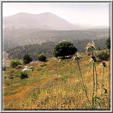 Old cemetery in Safed with Meron Mountains (over ...[4 words]... The Middle East, April 19, 2001