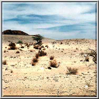 Timna River in northern Timna Park. The Middle East, April 25, 2001