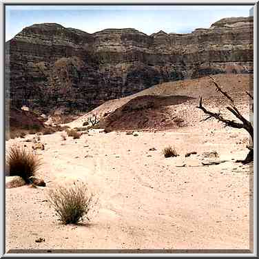 Area of Timna River in northern Timna Park. The Middle East, April 25, 2001