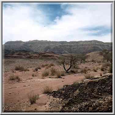 Approaching Mushroom in western Timna Park. The Middle East, April 25, 2001