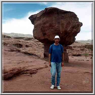 Mushroom in western Timna Park. The Middle East, April 25, 2001