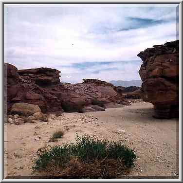 A wadi near copper mines in western Timna Park, near Eilat. The Middle East, April 25, 2001