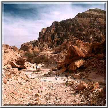 A wadi approaching Slaves Hill in western Timna ...[2 words]... Eilat. The Middle East, April 25, 2001