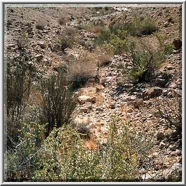 A tributary of Nahal Nekarot River running from ...[10 words]... Ramon. The Middle East, May 3, 2001