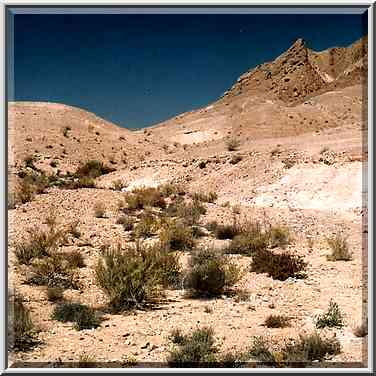 One of tributaries of Nahal Nekarot River at ...[10 words]... Ramon. The Middle East, May 3, 2001