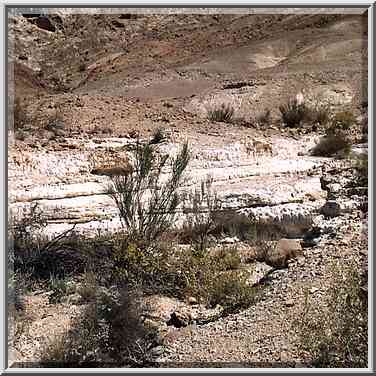 One of tributaries of Nahal Nekarot River at ...[10 words]... Ramon. The Middle East, May 3, 2001