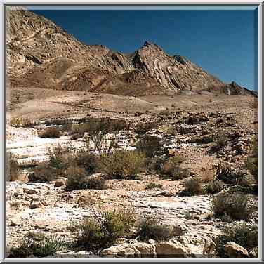 One of tributaries of Nahal Nekarot River at ...[10 words]... Ramon. The Middle East, May 3, 2001