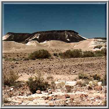 View to the west along Nahal Nekarot River at ...[10 words]... Ramon. The Middle East, May 3, 2001