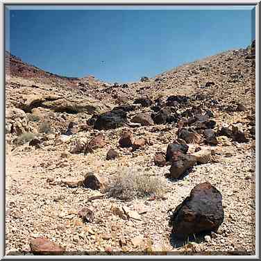 Stones near a trail to Ramons Tooth (black hill), ...[5 words]... Ramon. The Middle East, May 3, 2001