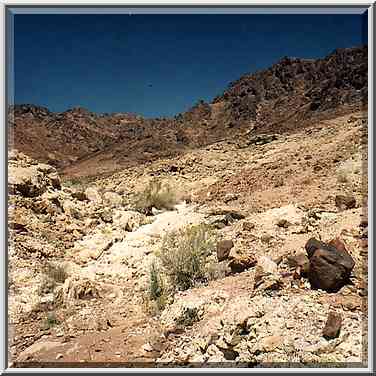 A trail to Ramons Tooth (black hill), 5 miles ...[3 words]... Ramon. The Middle East, May 3, 2001