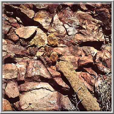 Stones on a bottom of a creek along the trail ...[12 words]... Ramon. The Middle East, May 3, 2001