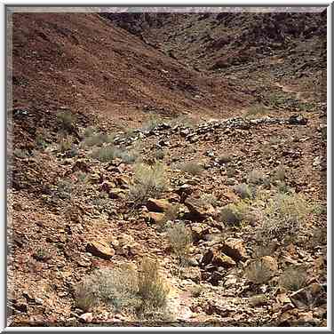 A creek along the trail going to Ramon Crater ...[8 words]... Ramon. The Middle East, May 3, 2001