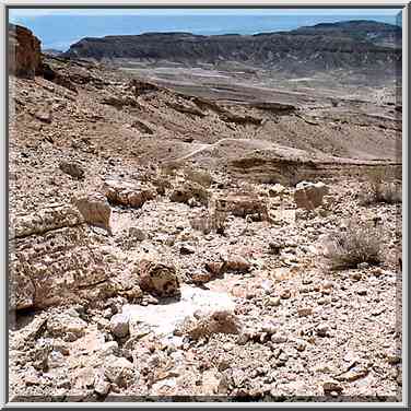 Nahal Peres River 2 miles north from Tamar ascent ...[27 words]... right). The Middle East, May 10, 2001