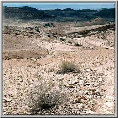 Descent to Dead Sea along Nahal Peres River, 2 ...[21 words]... road. The Middle East, May 10, 2001