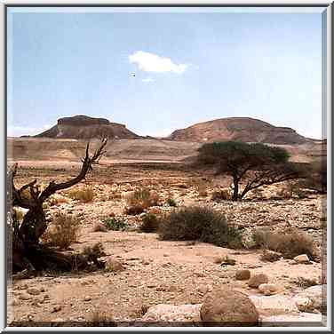 Descent to Dead Sea along Nahal Peres River and a ...[32 words]... Dead Sea. The Middle East, May 10, 2001