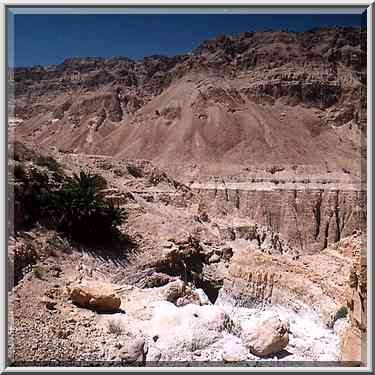 En Aneva spring (to the left) and Tseelim Canyon ...[7 words]... Masada. The Middle East, May 10, 2001