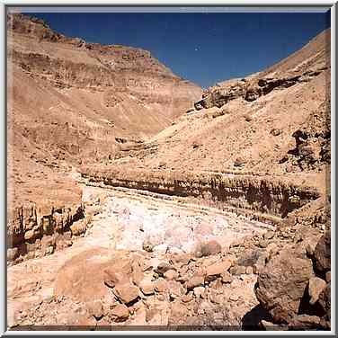 Riverbed of Nahal Tseelim 2 miles north from Masada. The Middle East, May 10, 2001