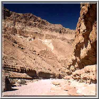 Riverbed and canyon (resembling Ein Avdat) of ...[6 words]... Masada. The Middle East, May 10, 2001