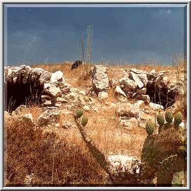 Ancient columbarium caves (?) in an abandoned ...[10 words]... Shemesh. The Middle East, July 5, 2001