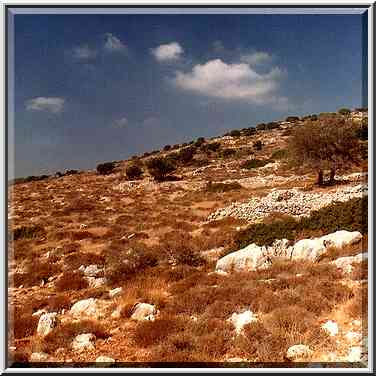 Remains of settlements and gardens on slopes of ...[6 words]... Shemesh. The Middle East, July 5, 2001