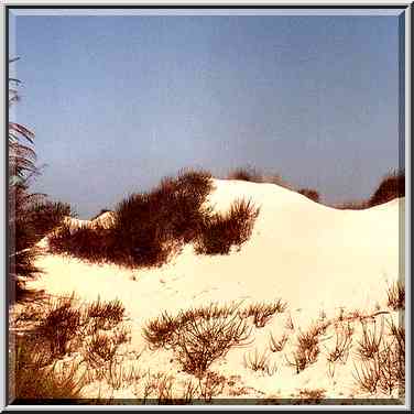 Dunes of Nizzanim. The Middle East, July 19, 2001