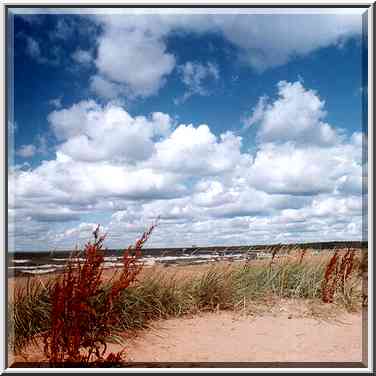 Dunes and Gulf of Finland between Solnechnoe and ...[5 words]... St. Petersburg, Russia, August 1, 2001