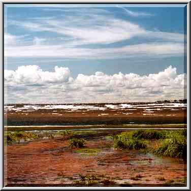 Gulf of Finland in Sestroretsk at windy day. Near St. Petersburg, Russia, August 1, 2001