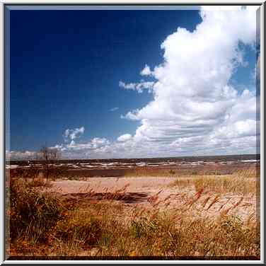 Gulf of Finland and a beach in Sestroretsk at ...[3 words]... St. Petersburg, Russia, August 1, 2001