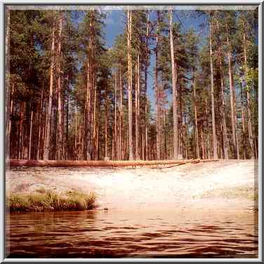 A lake Chiortovo (?) near Orekhovo, 40 miles ...[2 words]... St. Petersburg. Russia, August 4, 2001