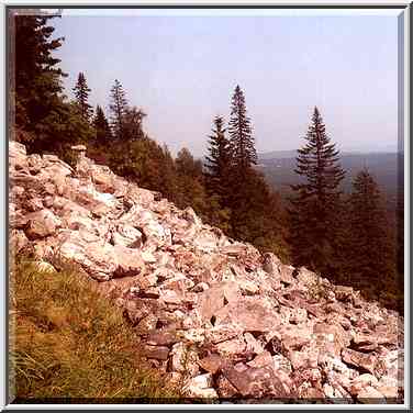 Typical for Ural piles of rock fragments on ...[7 words]... Southern Ural. Russia, August 14, 2001