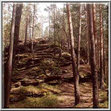 Ostantsy rocks (kind of geological formation) in ...[5 words]... Southern Ural, Russia, August 15, 2001