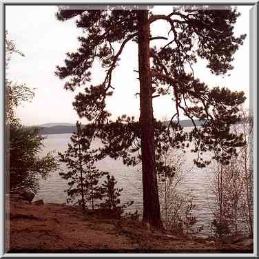 Turgoyak Lake near Miass. Southern Ural, Russia, August 15, 2001