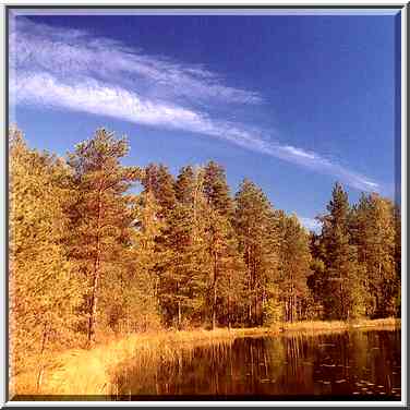 A lake 2 miles west from Petiayarvi, 50 miles ...[2 words]... St. Petersburg. Russia, August 19, 2001