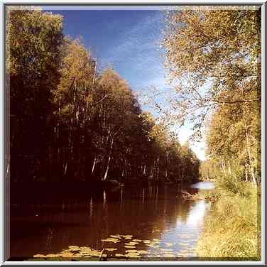 Volchya River 2 miles west from Petiayarvi, 50 ...[3 words]... St. Petersburg. Russia, August 19, 2001