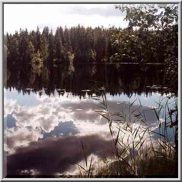 A lake 1 mile west from Kanneliarvi, 50 miles ...[2 words]... St. Petersburg. Russia, August 21, 2001