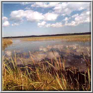 Kavgolovo Lake 9 miles north from St. Petersburg. Russia, August 26, 2001