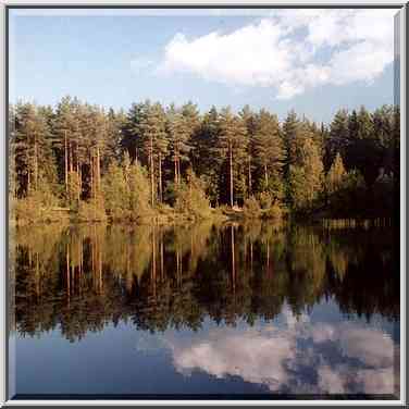 A small lake north from Kavgolovo Lake 9 miles ...[2 words]... St. Petersburg. Russia, August 26, 2001