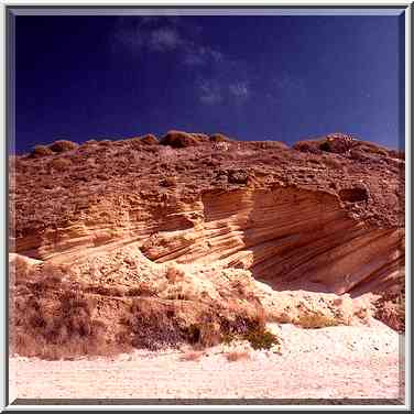 Limestone at Mediterranean beach in southern Ashkelon. The Middle East, September 19, 2001