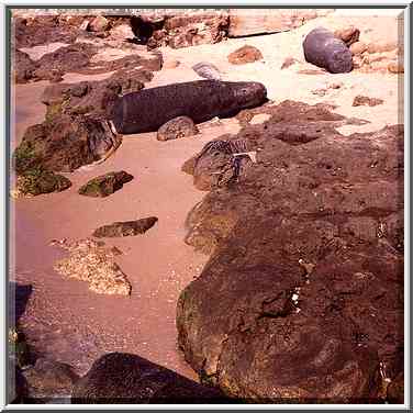 Decayed granite pillars from an ancient Crusaders ...[7 words]... The Middle East, September 19, 2001