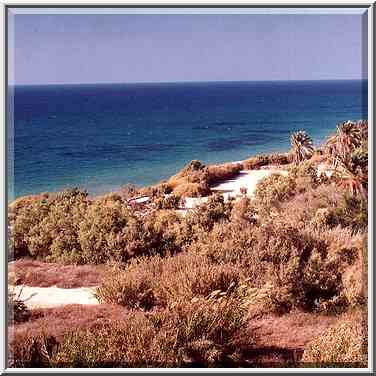 View of Mediterranean sea and the park from an ...[9 words]... The Middle East, September 19, 2001