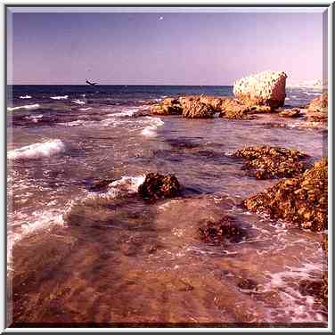 Decaying ruins of an ancient harbour fallen in ...[8 words]... The Middle East, September 19, 2001